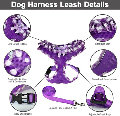 SuperBuddy Upgraded Soft Mesh Dog Harness, Super Breathable Lightweight Pet Harnesses for Puppy Dogs Outdoor Walking, Purple Dog Harness and Dog Leash Set Packing -Large