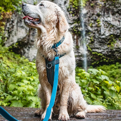 Wilderdog Waterproof Dog Leash - Repels Water & Dirt - Pacific Blue