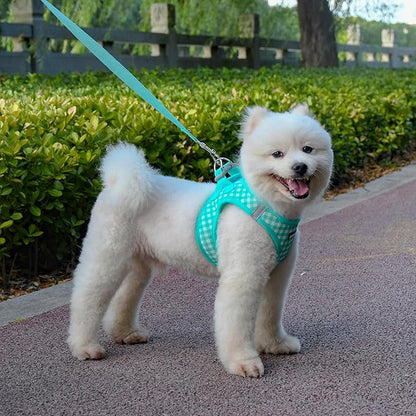AIITLE Adjustable Dog Harness and Leash Set, Step in No Pull Pet Harness, Soft Mesh Reflective Plaid Vest Harnesses for Small Dogs Puppy and House Cats Outdoor Walking Running Turquoise XS