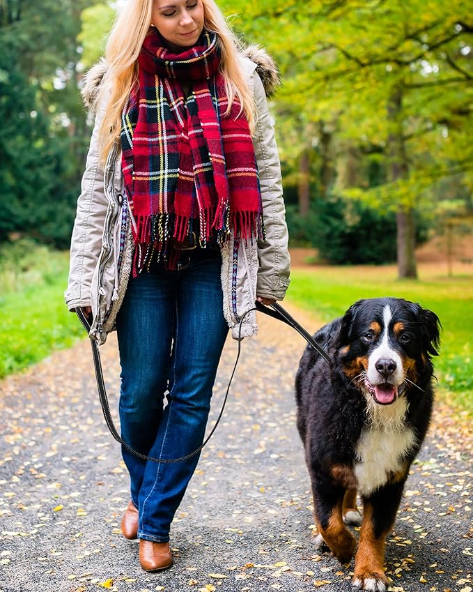 Dog Leash, Heavy Duty Dog Leash, Leashes for Large Breed Dogs 6FT, Double Handle Dog Leash, Reflective Training Lead, Perfect for Medium to Large Dogs(6FTBlue)