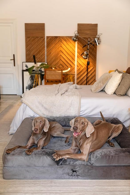NOAH & PAW Giant Dog Bed XXL, 55x45x11 Inch, Orthopedic Dog Beds, Eggshell Memory Foam Infused with Cooling Gel, Inner Cover, Waterproof, Machine Washable (Velvet Sofa Collection)