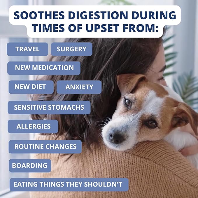 Under the Weather Bland Diet for Dogs | Easy to Digest for Sick Dogs |Always Be Ready| Contains Electrolytes - All Natural Freeze Dried 100% Human Grade Meats| 1 Pack- Rice Turkey & Sweet Potato - 6oz