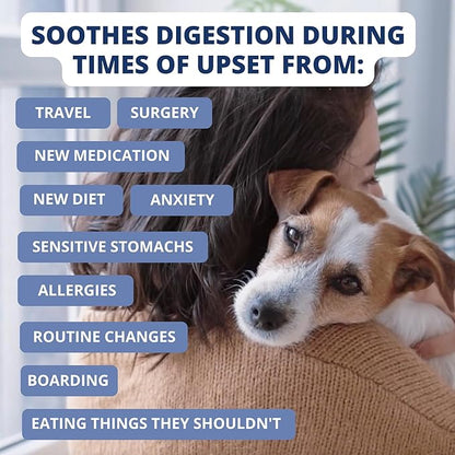 Under the Weather Bland Diet for Dogs | Easy to Digest for Sick Dogs |Always Be Ready| Contains Electrolytes - All Natural Freeze Dried 100% Human Grade Meats| 1 Pack- Rice Turkey & Sweet Potato - 6oz