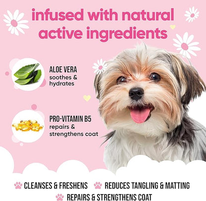 Baby Fresh Dog Shampoo by Buddycare | Deep Cleansing Shampoo for Dogs | Fresh Scented | with Aloe Vera and Pro Vitamin B5 (16.90oz)