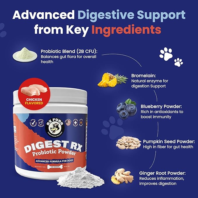 Probiotics for Dogs – Digestive Enzymes, Supports Gut Health, Vet-Formulated Prebiotics & Probiotics, for Immune Support, Diarrhea, Gas, Itching & Seasonal Allergies, Made in USA, 120 Scoops