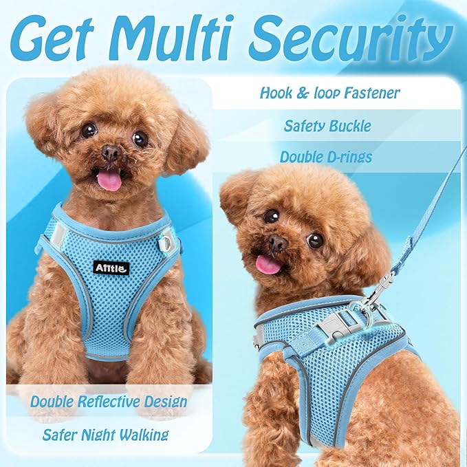 AIITLE No Pull Dog Harness and Leash Set, Step in Adjustable Dog Harness with Padded Vest for All Weather, Dog Leash with Soft Padded Handle, Easy to Put on Small and Medium Dogs Pure Blue S