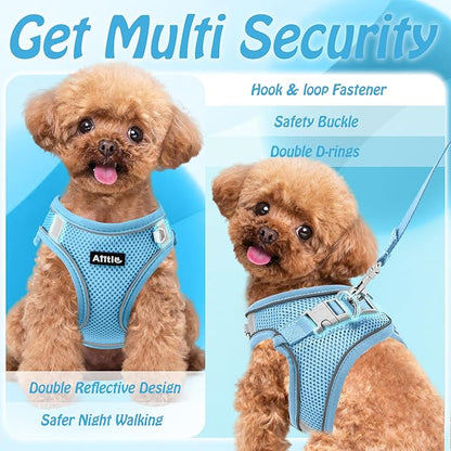 AIITLE No Pull Dog Harness and Leash Set, Step in Adjustable Dog Harness with Padded Vest for All Weather, Dog Leash with Soft Padded Handle, Easy to Put on Small and Medium Dogs Pure Blue S