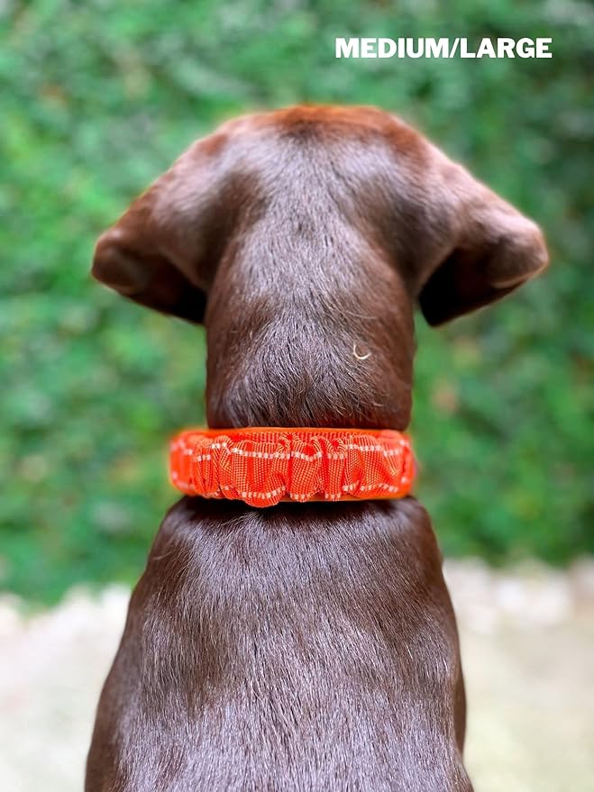 Tuff Pupper Heavy Duty Dog Collar with Handle | Ballistic Nylon Heavy Duty Collar | Padded Reflective Dog Collar with Adjustable Stainless Steel Hardware | Convenient Sizing for All Breeds