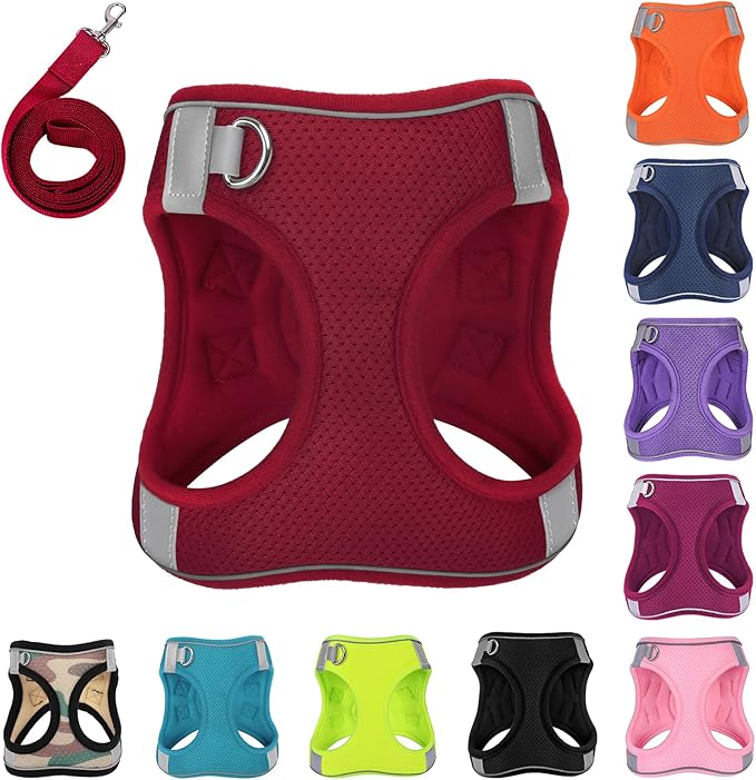 Dog Harness with Leash Set, No-Pull Step-in Reflective Pet Harness with 1 Leash Clips, Adjustable Soft Padded Easy Walk Dog Vest for Small Medium Large Dogs, Cats(Bright Red, XXSmall)