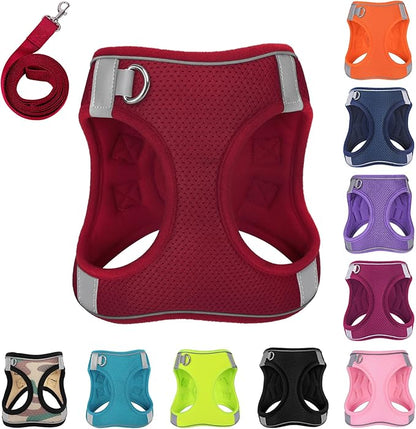 Dog Harness with Leash Set, No-Pull Step-in Reflective Pet Harness with 1 Leash Clips, Adjustable Soft Padded Easy Walk Dog Vest for Small Medium Large Dogs, Cats(Bright Red, XXSmall)