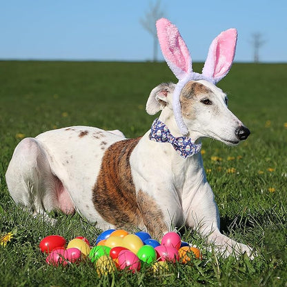 Easter Dog Collar with Bow Tie- Adjustable Easter Bunny Eggs Dog Collar Cute Rabbit Bowtie Metal Buckle Puppy Collars for Small Medium Large Dogs XL
