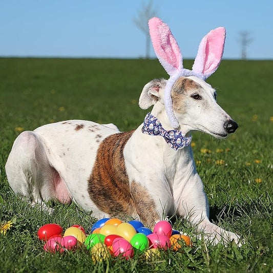 Easter Dog Collar with Bow Tie- Adjustable Easter Bunny Eggs Dog Collar Cute Rabbit Bowtie Metal Buckle Puppy Collars for Small Medium Large Dogs L