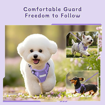 Small Dog Harness and Leash Set, Reflective Soft Breathable Mesh Vest, 3 Buckles, Adjustable Neck and Chest,Step in Dog Harness for Walking, Running, Training, Purple, S