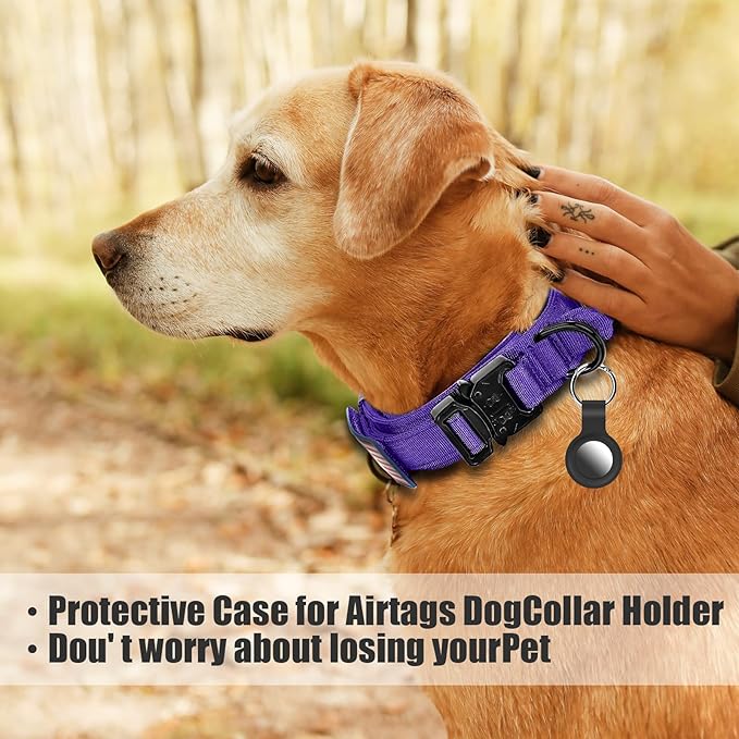 Tactical Dog Collar and Bungee Leash,Military Dog Collar & Leash Set with USA American Flag Adjustable K9 Collar with Heavy Duty Metal Buckle & Handle,with Patches and Airtags Case (Purple, L)