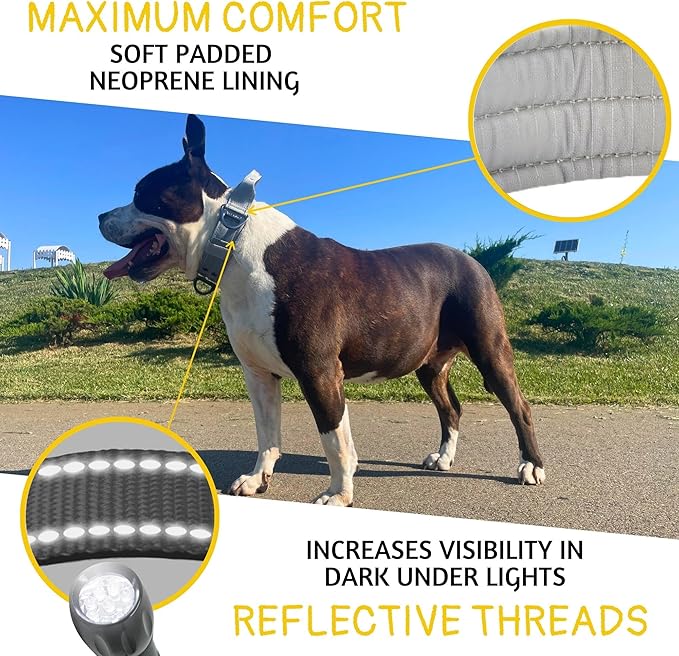 ADITYNA Heavy Duty Dog Collar for Large Dogs - Reflective Gray Collar with Handle for Training, and Walking - Wide, Thick, Tactical, Soft Neoprene Padded