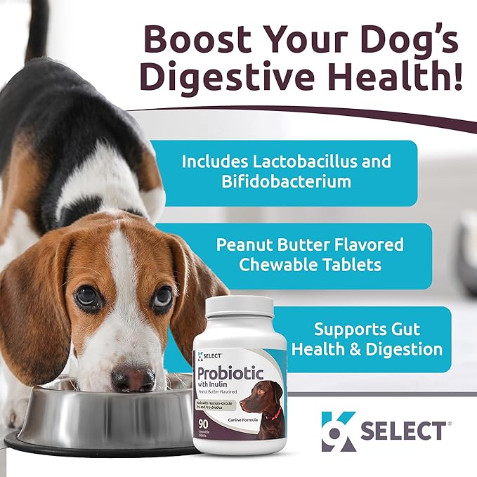 K9 Select Pet Probiotics for Dogs with Inulin – Dog probiotics for Digestive Health & Gut Support with Digestive Enzymes for Dogs, Supports Yeast Balance & Dog Digestive Support – 90 Tablets