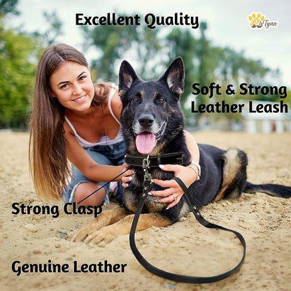 ADITYNA Leather Dog Leash 6 ft x 3/4 inch - Soft, Strong, Heavy Duty for Large & Medium Breeds - Dog Lead for Walking, Training, Hiking and Running (Black)