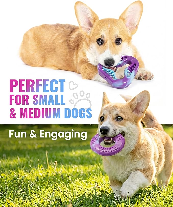 Tough Dog Puzzle Toys for Aggressive Chewers 3 Pack, TPR Safe Indestructible Dog Toy for Small, Medium Chewer Dogs, Keeps Dogs Busy