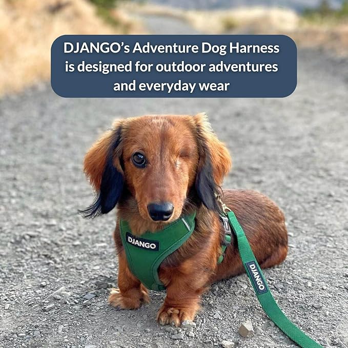 DJANGO Adventure Dog Harness - Stylish and Durable Small Dog Harness for Outdoor Adventures and Everyday Wear - Forest Green Neoprene Adjustable Harness for Dogs with Reflective Piping & Brass D-Ring