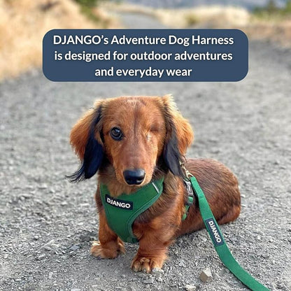 DJANGO Adventure Dog Harness - Stylish and Durable Small Dog Harness for Outdoor Adventures and Everyday Wear - Forest Green Neoprene Adjustable Harness for Dogs with Reflective Piping & Brass D-Ring