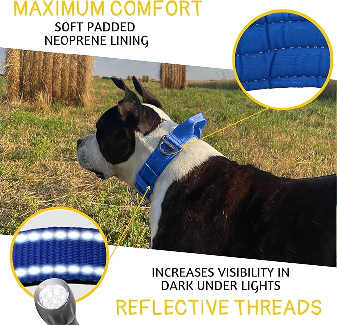 ADITYNA Heavy Duty Dog Collar for Extra-Large Dogs - Reflective Blue Collar with Handle for Training, and Walking - Wide, Thick, Tactical, Soft Neoprene Padded