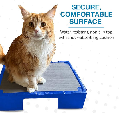 Blue-9 KLIMB Jr. Professionally Designed Dog Training Platform and DIY Guide for Behavior Basics, Made in The USA, Blue