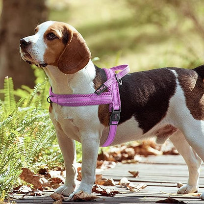 Didog No Pull Dog Harness with Soft Mesh Padded,Reflective & Quick Fit Light Weight Dog Strap Vest Harness,Easy for Walking Training (L:Chest 26-32", Purple)