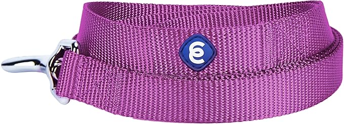 Blueberry Pet Essentials Violet Dog Leash for Medium - 5' * 3/4" Dogs | Heavy Duty Nylon Lead | Lightweight Puppy & Cat Leash for Walking & Training
