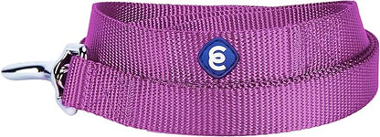 Blueberry Pet Essentials Violet Dog Leash for Medium - 5' * 3/4" Dogs | Heavy Duty Nylon Lead | Lightweight Puppy & Cat Leash for Walking & Training