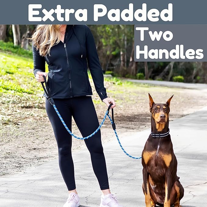 6 Foot Dog Leash, Two Extra Padded Handles, Locking Carabiner Clip, Reflective for Night Visibility, Weatherproof, Heavy Duty Rope Leash, Roam Gear (Blue)