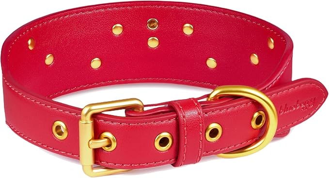 Blueberry Pet Premium Embossed Red Glam Silver-Powered Freshness Microfiber Leather Dog Collar with Gold Studs