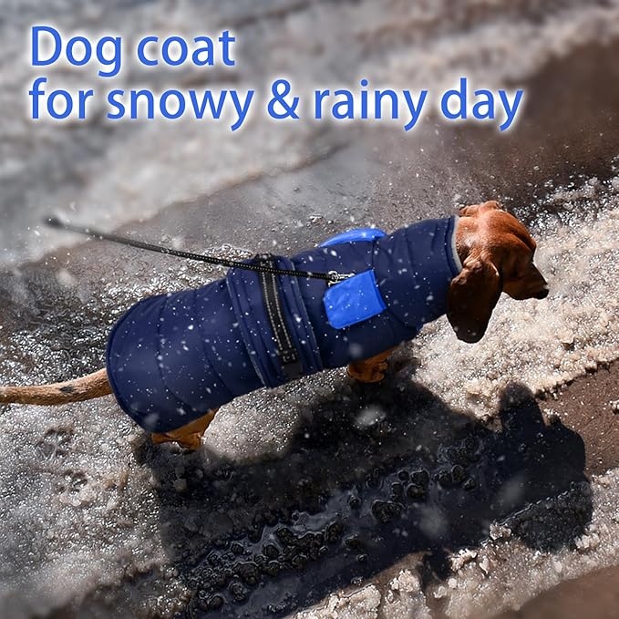 MIGOHI Cozy Small Dog Coat - Reflective Dog Coat for Small Dogs,Fleece Winter Coats Jacket for Dogs with Leash Hole,Snowproof Thick Puppy Clothes,Pomeranian,Chihuahua,XS,DarkBlue