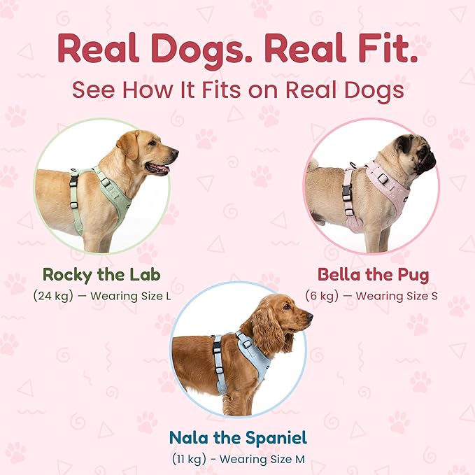 No-Pull, No-Choke Dog Harness & Leash Set – Stylish & Fun – Lightweight, Breathable Neoprene – Unique Heart Pattern – Adjustable for Extra Small to Medium Dogs (Harness Leash Set-Black, X-Small)