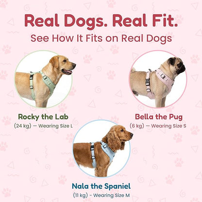 No-Pull, No-Choke Dog Harness & Leash Set – Stylish & Fun – Lightweight, Breathable Neoprene – Unique Heart Pattern – Adjustable for Extra Small to Medium Dogs (Harness Leash Set-Black, X-Small)