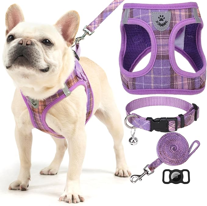 EXPAWLORER Classic Plaid Puppy Harness - Small Dog Harness and Leash Set - Dog Collar and Leash Set with AirTag Holder, Soft Padded Step in Dog Vest Harness No Pull Reflective for Outdoor, Purple XXS