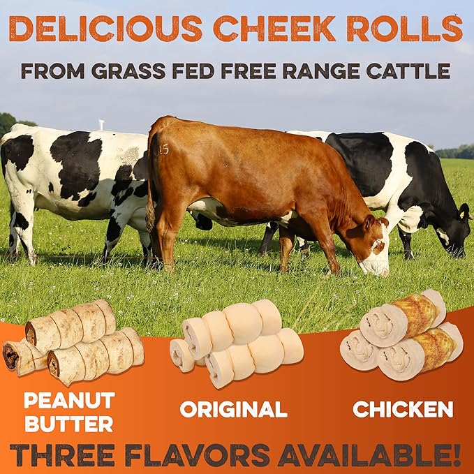 Premium Beef Cheek Rolls for Dogs 10-12" - (5-Pack) Long Lasting, Safe & Natural Rawhide Alternative Chews, Ideal for Large Dogs & Aggressive Chewers, Supports Dental Health & Digestion