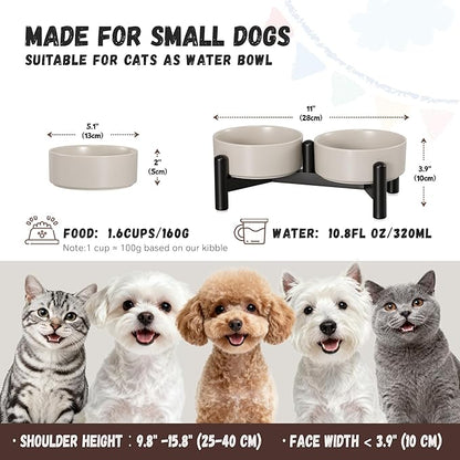 Raised Ceramic Dog Bowl Set - Elevated Double Dishes with Stainless Steel Stand - Food and Water Bowls for Small Dogs and Indoor Cats - Each Holds 1.6 Cups (10.8 fl oz) - Grey
