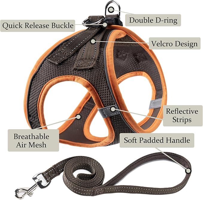Dog Harness with Leash Set, No Pull Adjustable Reflective Step-in Puppy Pet Vest Harnesses for Small Medium Large Dogs and Cats,Brown L
