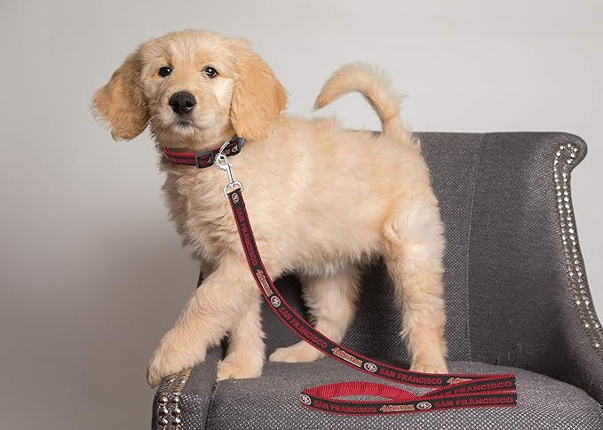 Pets First NFL Pets NFL