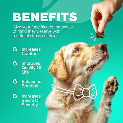 Probiotics for Dogs Gut Health, Digestion, Immunity, Yeast Balance, Itchy Skin, Allergies Support - Dog Probiotic Chews with Digestive Enzymes for Gut Flora- Soft Treats with Pumpkin and Yeast Powder