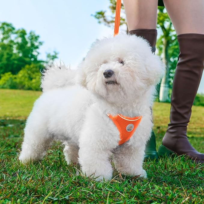 Hipubby Dog Harness and Leash Set, No Pull Soft Mesh Puppy Harness for Small Medium Dogs, Cats - Step in Reflective Breathable Lightweight Vest Harness for Walking, Training - Orange, L