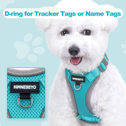 Small Dog Harness and Leash Set, No Pull Adjustable Pet Harness for Small Dogs, Breathable Mesh Rflective Dog Vest Harness (Turquoise, M)