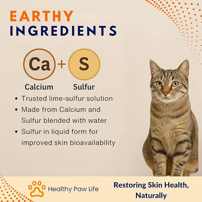 Healthy Paw Life - Lime Sulfur Dip - Pet Care for Itchy and Dry Skin - Xtra Strength Formula - Safe Solution for Dog, Cat, Puppy, Kitten, Horse (1 Gallon)