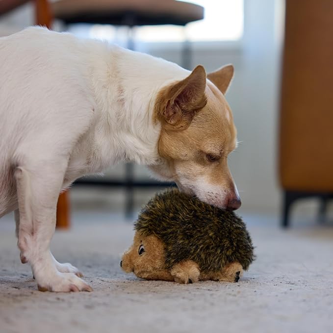 Outward Hound Hedgehogz Stuffed Dog Toy – Soft Plush Hedgehog, Squeaks, 6" x 4" x 4.5"