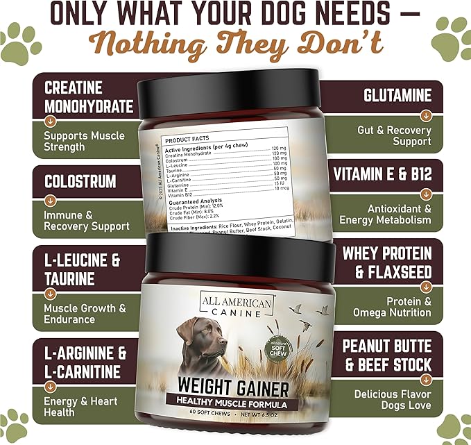 Dog Weight Gainer Chews – High Calorie Dog Food Supplement for Rapid Weight Gain, Mass, and Recovery – Appetite Stimulant – 60 Chews