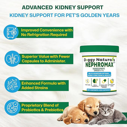 NEPHROMAX™ Synbiotic Capsules for Kidney Support for Dogs & Cats (120 Small Capsules) - Advanced Next-Generation Enteric detoxifying Blend of Pre & Probiotics Kidney Support U.S.A (120 Caps)