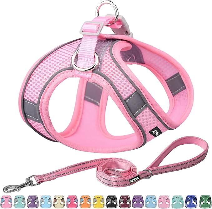 AIITLE Comfortable Dog Harness and Leash Set for Walking - Step in Vest Harness,Reflective Bands, Adjustable No Pull Puppy Essentials, for Small Dogs and House Cats Pure Pink XS