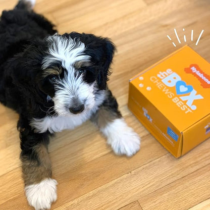 Nylabone Puppy Gift Box, Includes 3 Strong Puppy Chew Toys and 1 Natural Treat Bone for Puppies, Gifts for Puppies, Small Dogs - Up to 25 lbs., 4 Pack