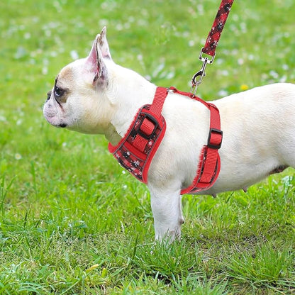 PUPTECK Christmas Small Dog Harness and Leash Set, No Pull Adjustable Puppy Cat Harness, Reflective Soft Mesh Pet Vest Small Sized, Checkered, S