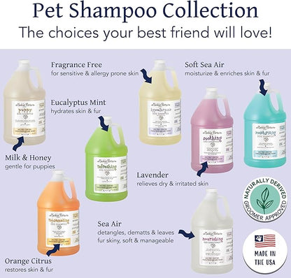 Bobbi Panter Hypoallergenic Dog Shampoo 1 Gal. (Case of 4), Dye & Fragrance-Free, Paraben-Free, pH Balanced, Tear-Free, Aloe Vera & Honey Extract, Made in USA, Concentrated 30:1, Made in The USA